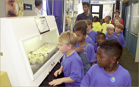 Poultry World at the Georgia National Fair